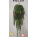 29"Pea leaf hanging bush with flower