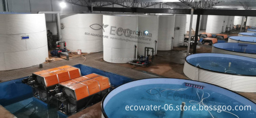 Large PP Plastic Fish Tank System for Farm Recirculating Aquaculture: Supplier and Details
