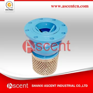 Flange end Foot Valve