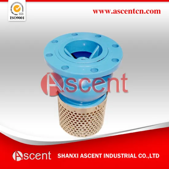 Flange end Foot Valve