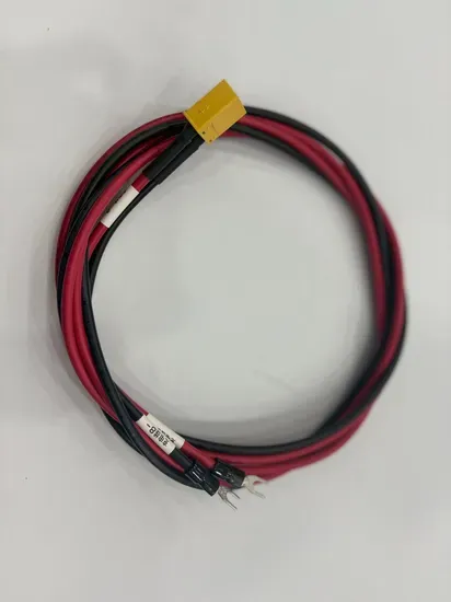 Custom Power Exchange Cabinet Wiring Harness Assembly