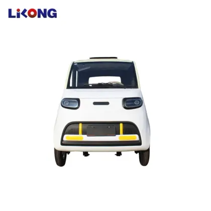 2024 Pure Electric EV Mini Small Car