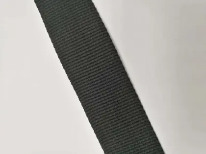 Colored Webbing/Polypropylene Webbing Strap