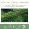 Óleo de agulha de pinheiro natural 100% puro para uso cosmético Pine Afles Organic essencial Oil