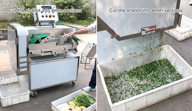 commercial vegetable cutting machine
