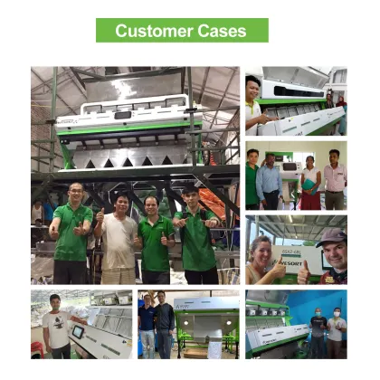 Delonghi Fully Automatic Coffee Machine with Grinder: Color-Sorted Vending Solution