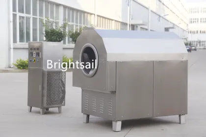 Brightsail Stainless Steel Giesen Coffee Roaster Machine