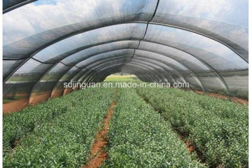 Agriculture Netting