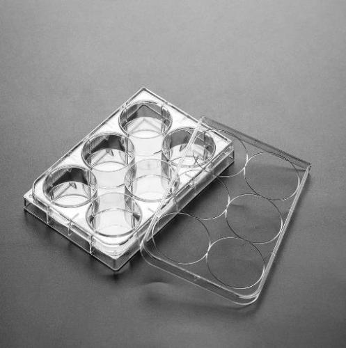 PS Cell Culture Plate Flat Bottom Round Bottom