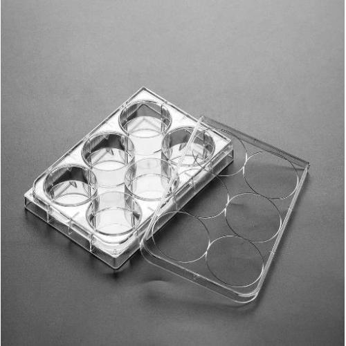 PS Cell Culture Plate de fond plat rond