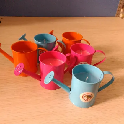 Paraffin Wax Outdoor Anti Mosquito Candles