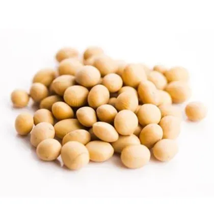 fermented Soybean Extract soy isoflavones supplements bulk