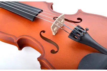 High quality violin instrument sales