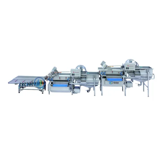 Leafy Vegetable and Fruit Washing Machine Production Line with Ozone Technology