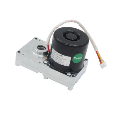 SOJO TECH DC24V 1RPM Brushless Motor for Pellet Stoves
