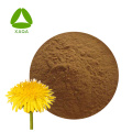 Taraxacum الجذر استخراج مسحوق الهندباء فلافونويدس