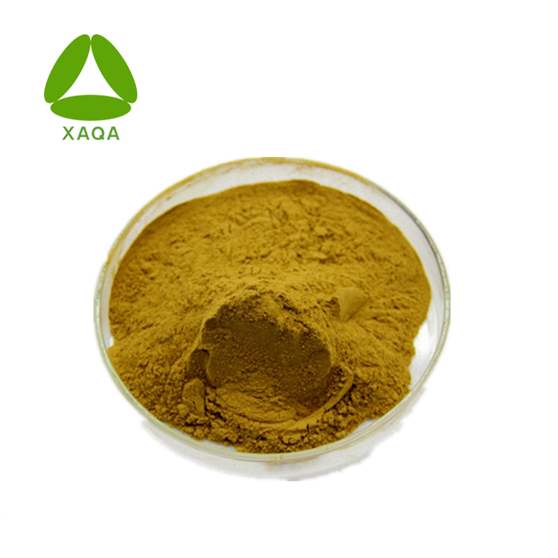 Loquat Leaf Extract Corosolic Acid 20% Powder Price