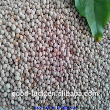 high quality perilla seed