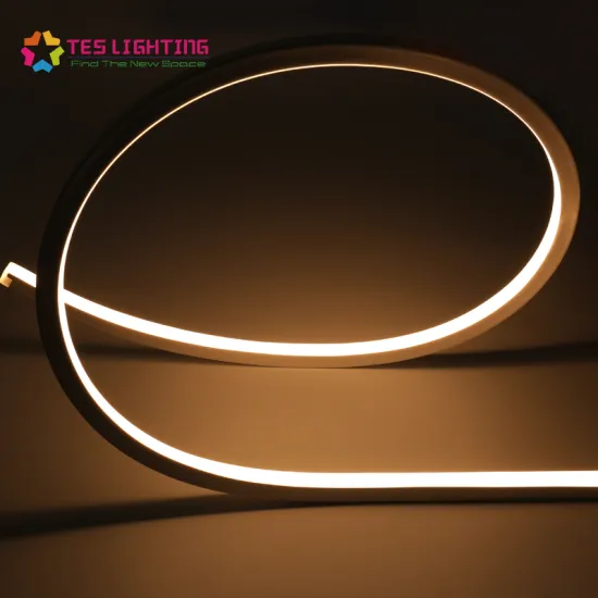 24V ​IP68 Waterproof Custom Neon Lights