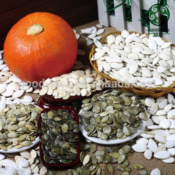 Wholesale All Kind Seeds Pumpkin, Sunflower