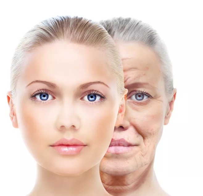 CE -zugelassene dermalen injizierbare Füllstoffe für die Anti -Aging