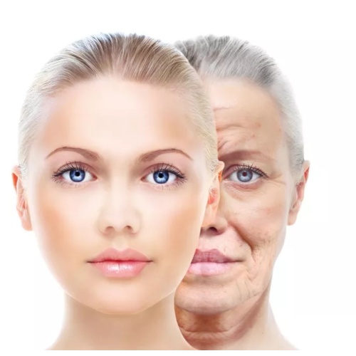 CE Approved Dermal injectable Fillers for Anti Aging