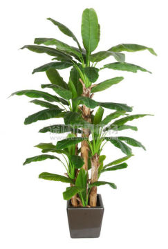 shenlin new 5-trunk indoor artificial banana tree for sale