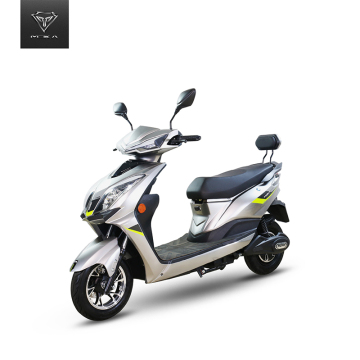 Electric Vehicle Removable Lead Acid /Lithium Battery with fast charger