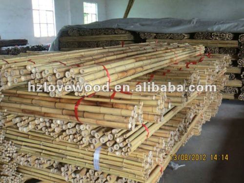 Bamboo Canes at Cheap Price