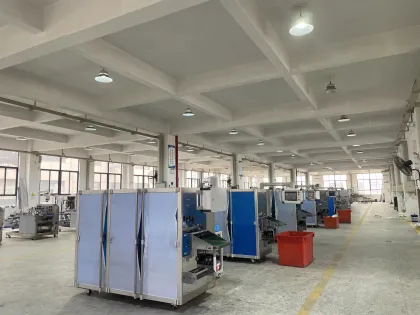 Automatic Packing Machine for HYF800 Warm Patch Nasal Paste Fever Cooling Gel Patch