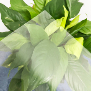 99% Anti-Reflective Transmissive Tempered Extra Clear AR Glass for Clothing Wardrobe