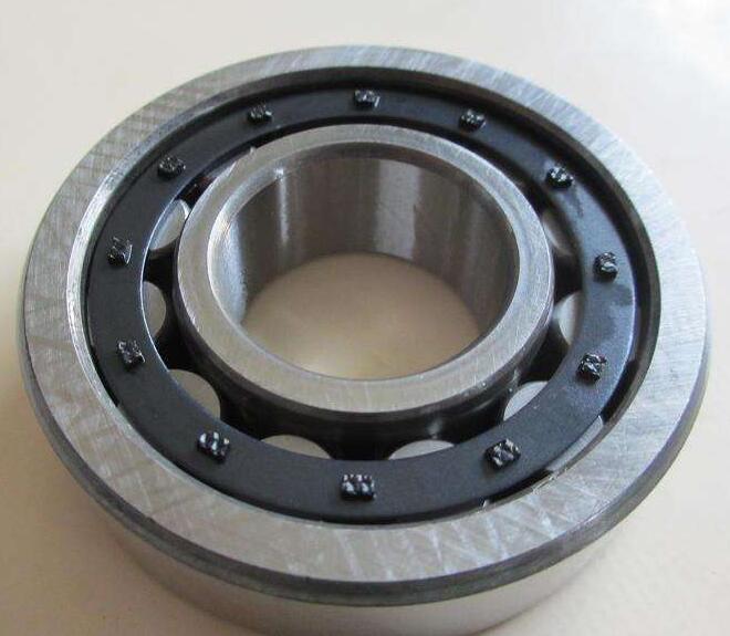 Cylindrical Roller Bearing 1040