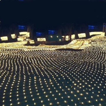 3M*2M, 2M*2M, 1.5M*1.5M Waterproof Flashing LED Net Lights: Ideal Outdoor Christmas and Garden Decorations