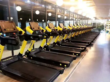 Adjustable High-Quality Electric Treadmills On Sale - Shua Treadmill