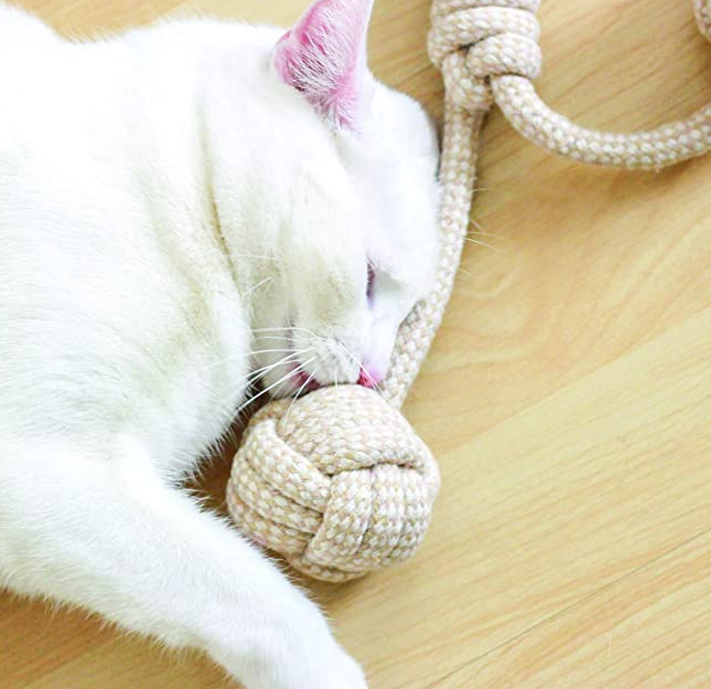 Cotton Braided Rope Toy