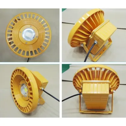 Professional Flame Proof Lighting: 50w to 200w Explosion-Proof Lights