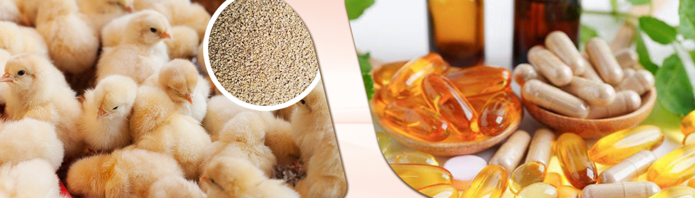 goji berry extract powder