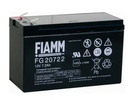 FIAMM Battery