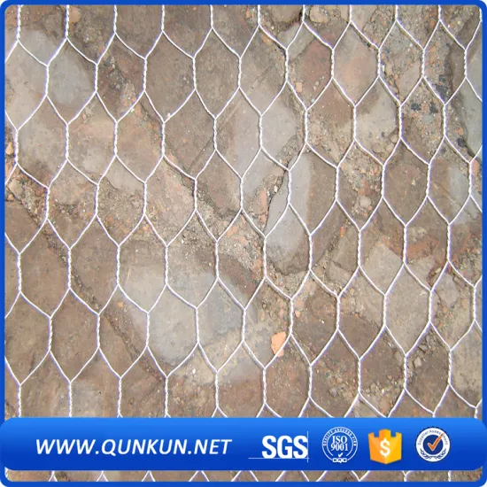 High quality Hexagonal wire netting(Factory price) sales