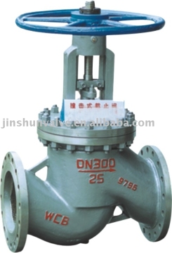 Big dia.globe valve