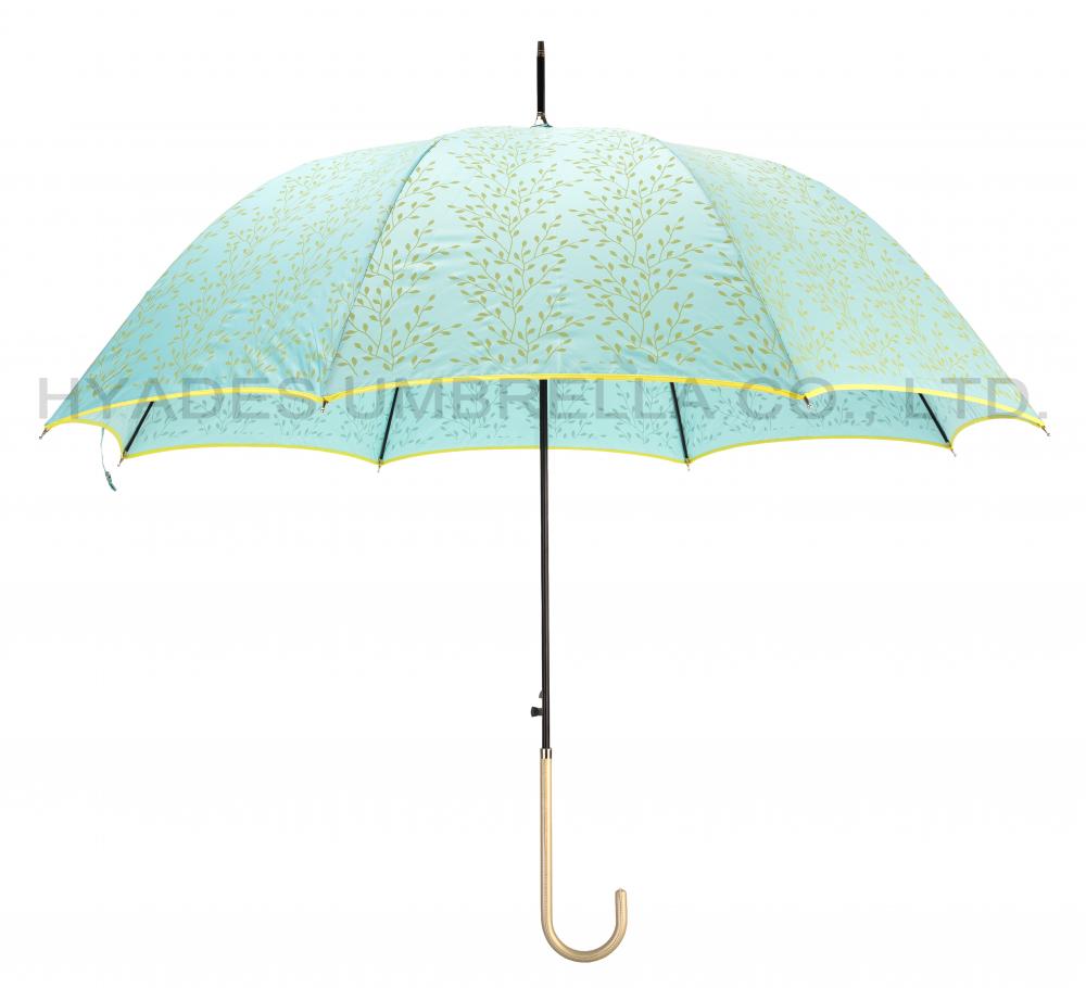 Elegante paraguas de cúpula con asa de gancho abierto automático