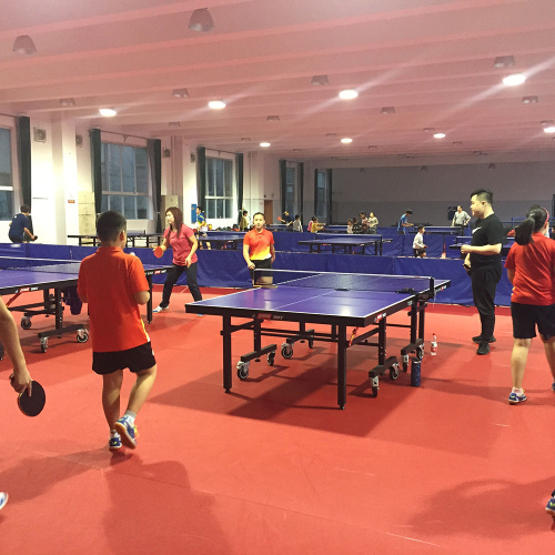 indoor professionele competitie gebruik tafeltennis vloeren