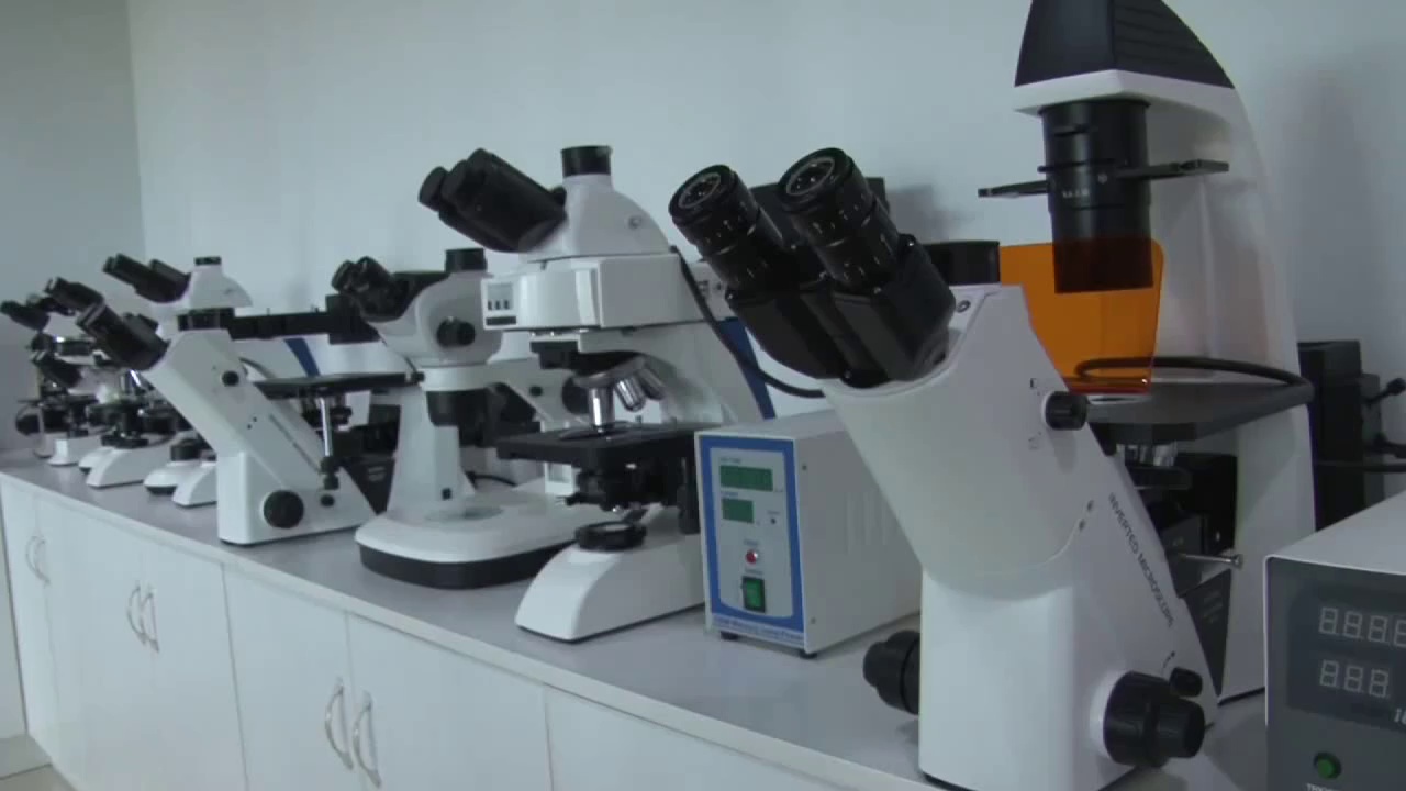 2000X Training Medical Supply with Amscope Trinocular Microscope for Basic Customization