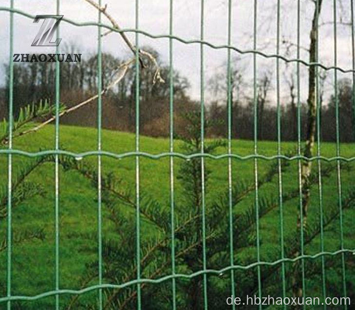 75 mm Euro Holland Zaun für Farm