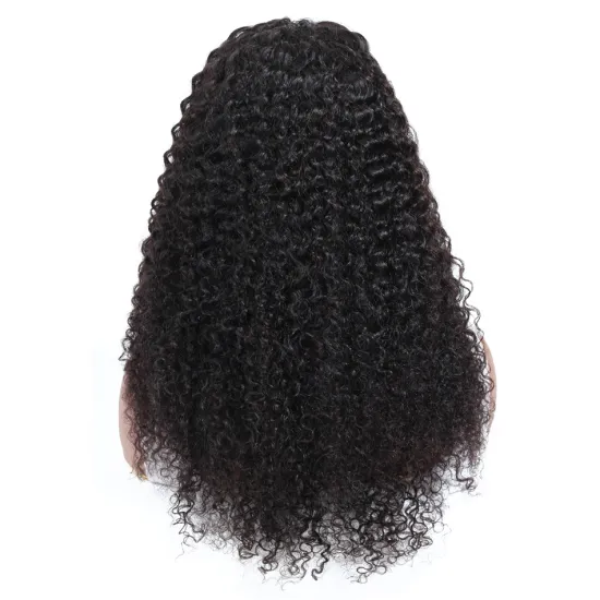 10A Grade Yeswigs Virgin Hair Peruvian Curly Wig Cuticle Aligned Swiss Lace Front Closure Peruvian Kinky Curly Human Hair Wig