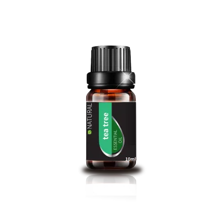 100% pure natural organic Tea tree leaf oil tea tree essentail oil for aromatherapy