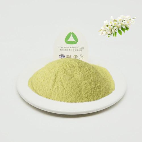 Isoquercetin 98 ٪ CAS 482-35-9 Sophora japonica extract