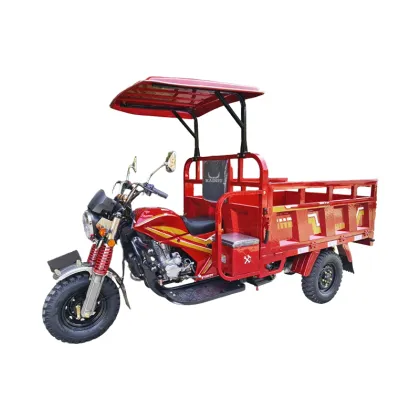 Powerful Motor Tricycle for Transport