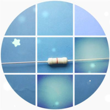 Nf 02 Ceramic Fuse/Wire Wound Fuse/Fixed Fuse