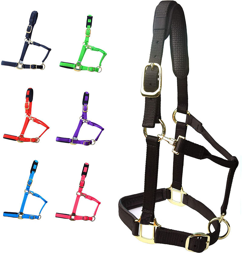 Horse Halter Adjustable With Cushioned Padding